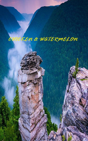 Screenplay Cover Image for Chicken & Watermelon>