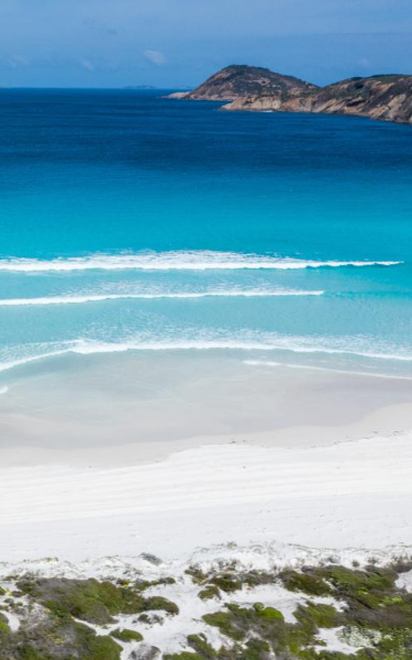 Beach Day