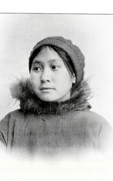 Screenplay Cover Image for The Heroine of Wrangel Island>
