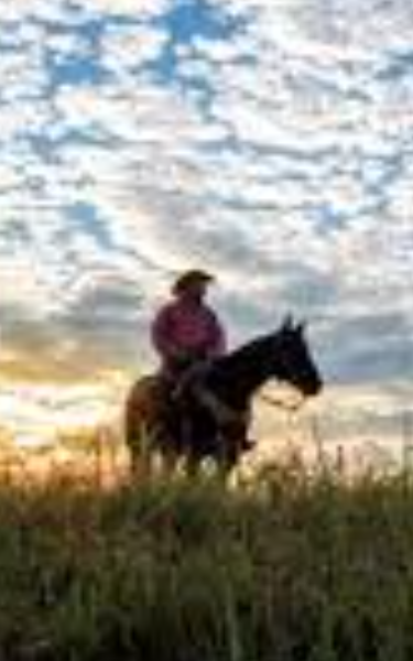 Profile Image for Three Flags over Santa Gertrudis