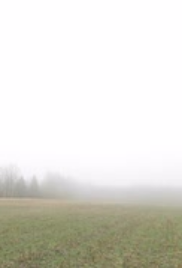 Screenplay Cover Image for Fog>