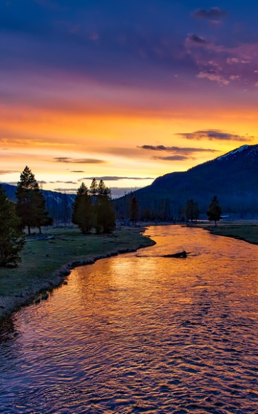 Profile Image for Old River