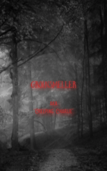 Profile Image for Groinsmeller